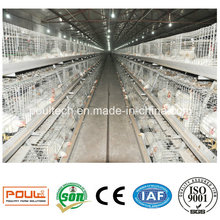 Chicken Broiler Cage System Equipo de granja de aves de corral